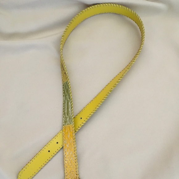 Nanni Belt - Picture 7 of 8